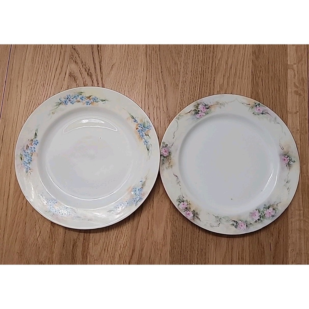 Antq (2) 1918 Haviland France Handpainted Blue Pink Roses Floral Plates Mismatch